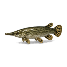 Alligator Gar