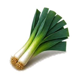 Leek