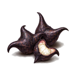 Water Caltrop