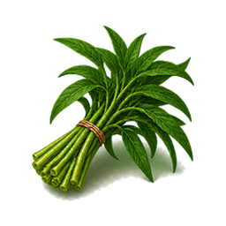 Water Spinach